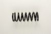 VW 251411105C952 Coil Spring